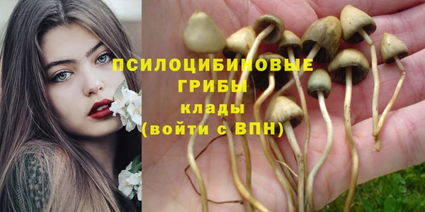 таблы Верея