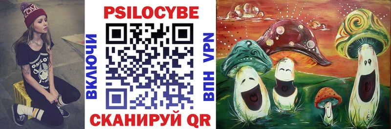 Псилоцибиновые грибы ЛСД  Купить где  Починок 